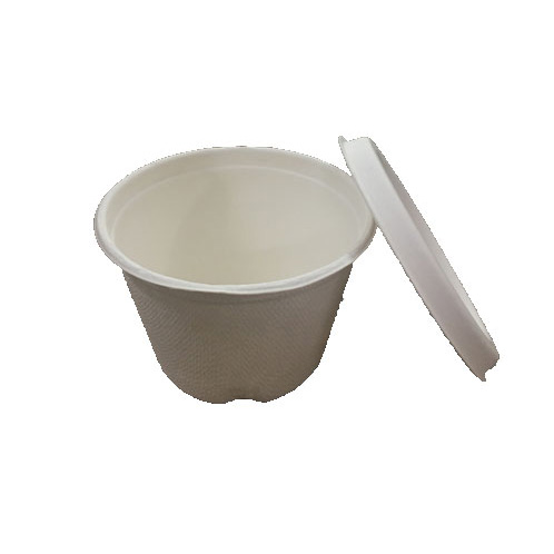 Sugarcane Cup with Lid