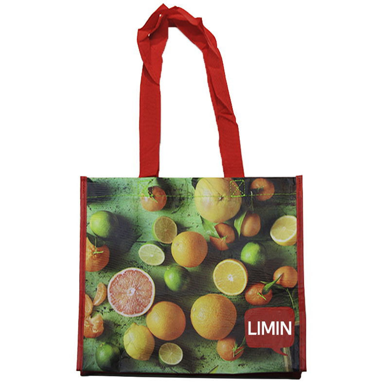 PP bag LM18-PP01