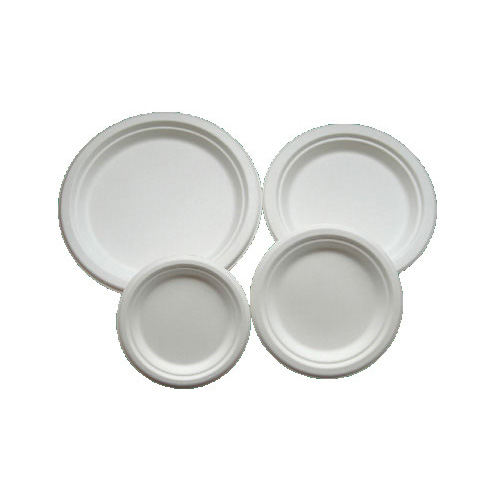 Sugarcane Plates