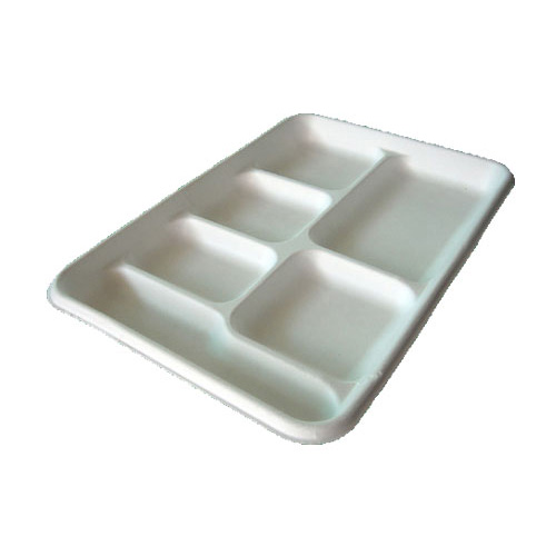 Sugarcane Tray