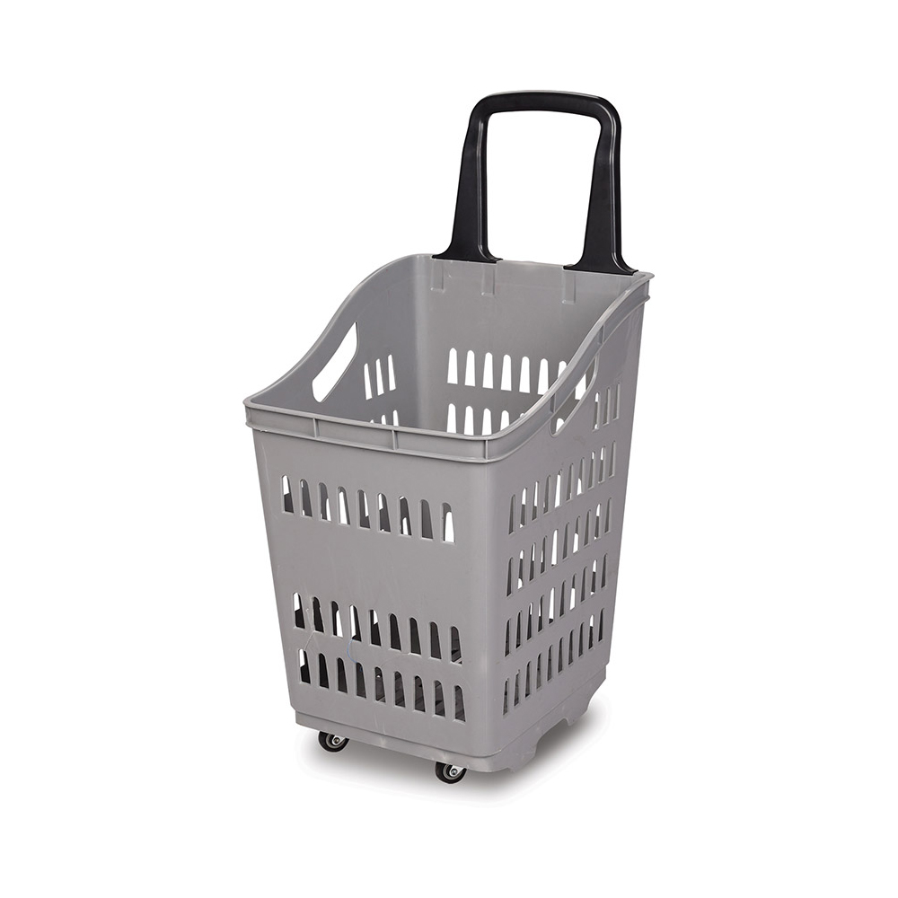LM21SSB10 Roller Basket