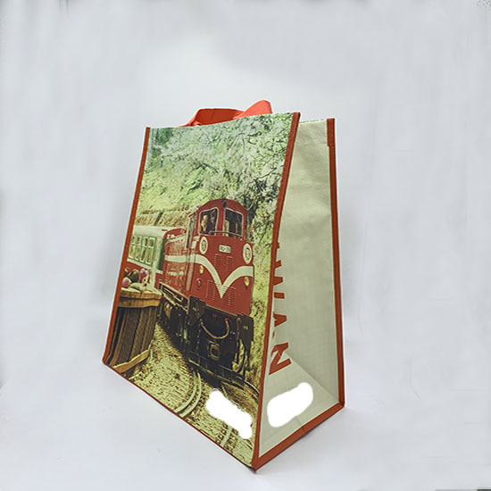 PP bag LM19-PP05