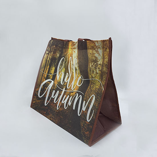 PP bag LM19-PP07