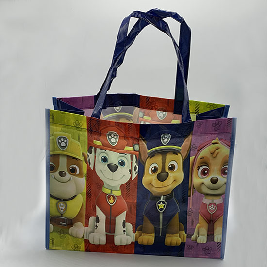 PP bag LM19-PP04