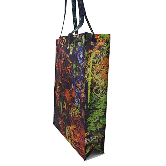 PP bag LM19-PP13