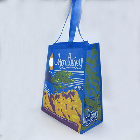 RPET bag LM19 RW05