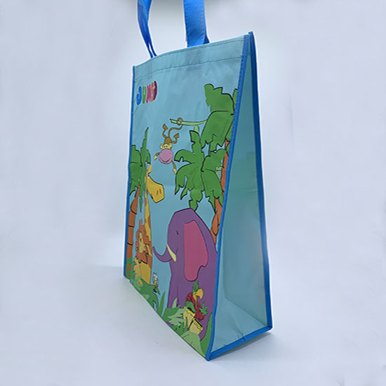 RPET bag LM19 RW08