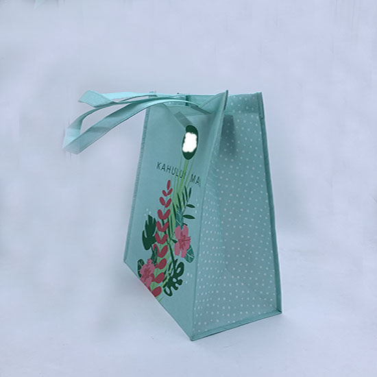RPET bag LM19 RW12