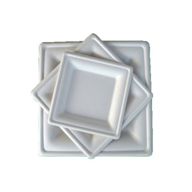Sugarcane Plate - Square